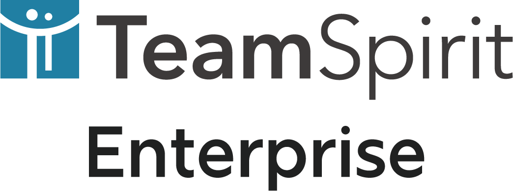 TeamSpirit Enterprise 勤怠